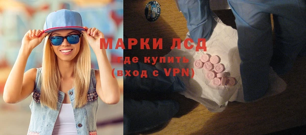 стаф Верея