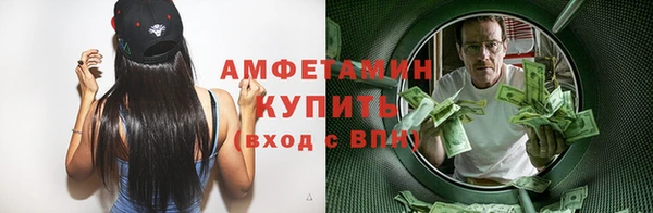 стаф Верея