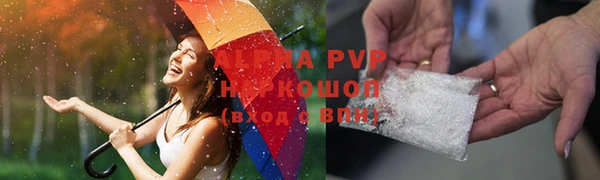 стаф Верея