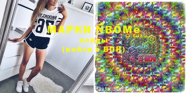 стаф Верея
