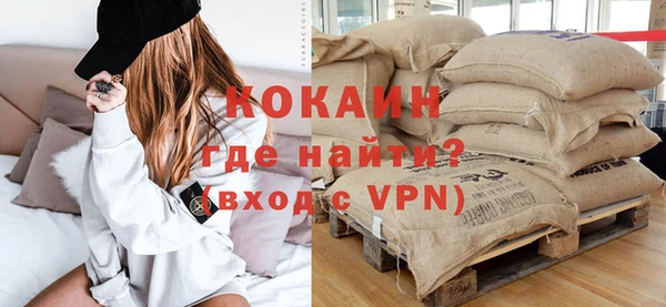 стаф Верея