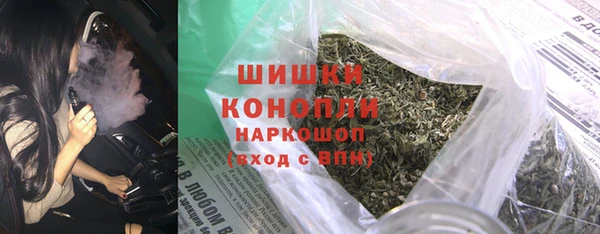 стаф Верея