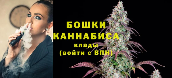 PSILOCYBIN Верхний Тагил