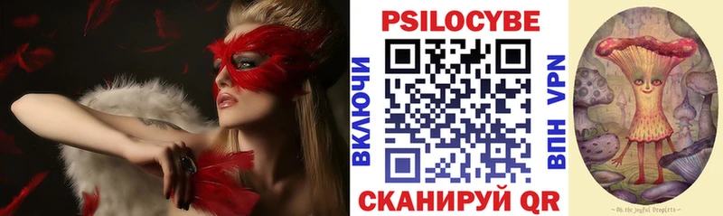 Купить  Раменское  Галлюциногенные грибы Cubensis 